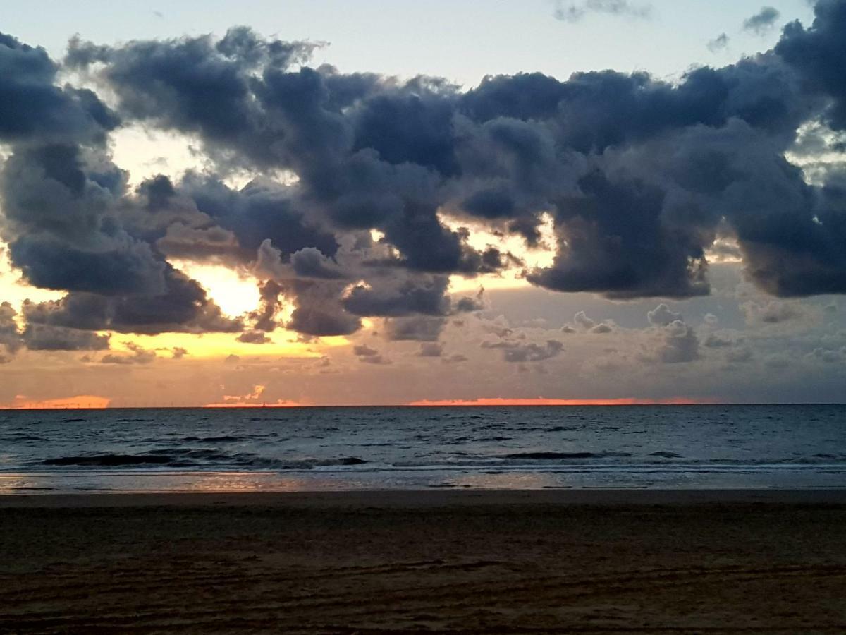 Excellent Beach Apartments Zandvoort Ngoại thất bức ảnh